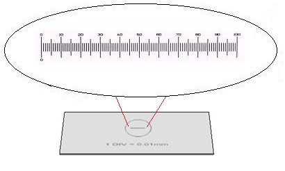 LAMINA PADRÃO PARA MICROSCÓPIO